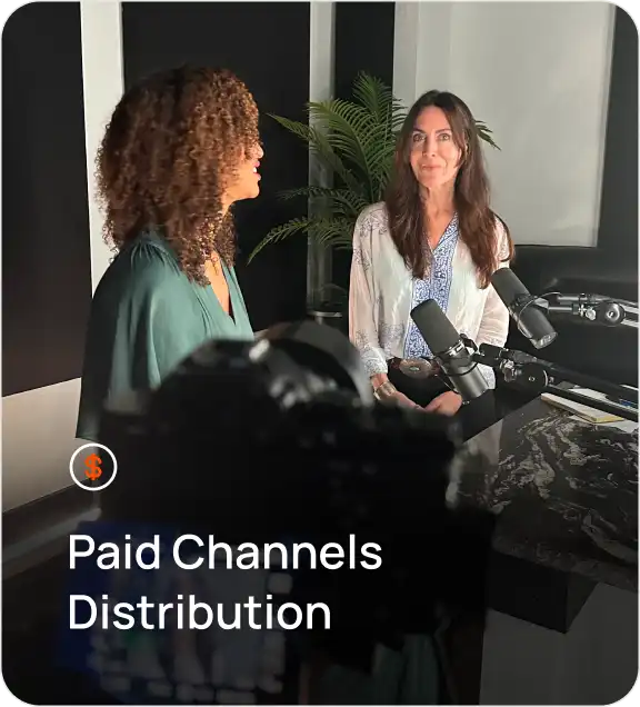 <p>Paid Channels Distribution</p>
